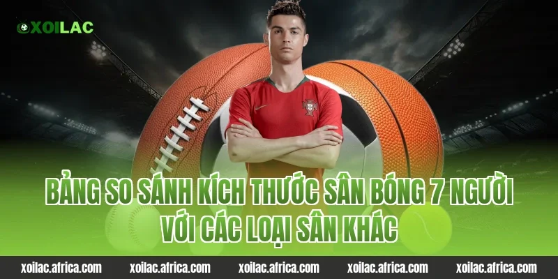 Bảng so sánh kích thước sân bóng 7 người với các loại sân khác