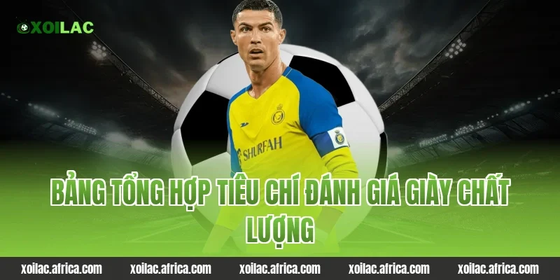 Bảng tổng hợp tiêu chí đánh giá giày chất lượng