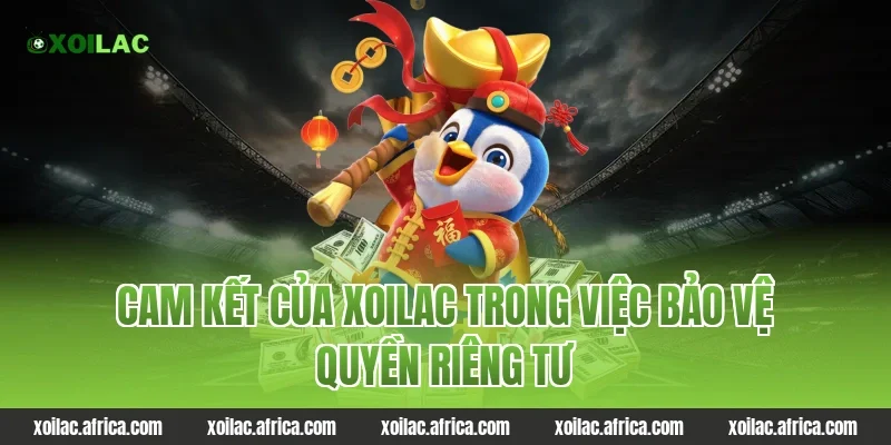 Cam kết của Xoilac trong việc bảo vệ quyền riêng tư