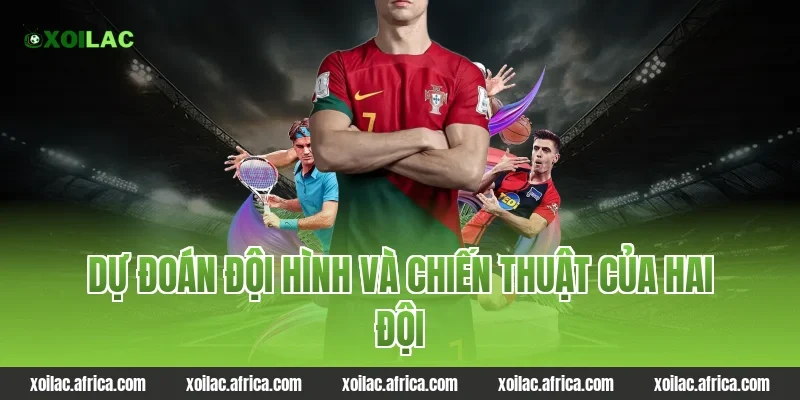 Dự đoán đội hình và chiến thuật của hai đội