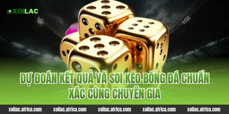 Dự đoán kết quả và soi kèo bóng đá chuẩn xác cùng chuyên gia