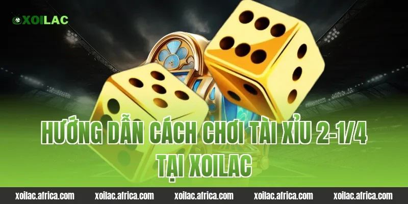 Hướng dẫn cách chơi tài xỉu 2-1/4 tại xoilac