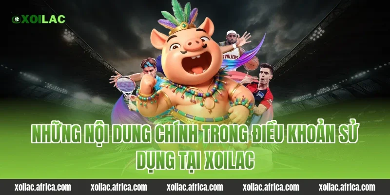 Những nội dung chính trong điều khoản sử dụng tại Xoilac
