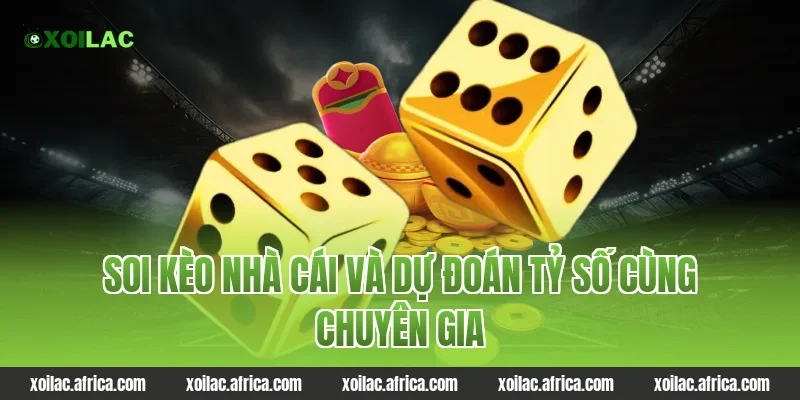 Soi kèo nhà cái và dự đoán tỷ số cùng chuyên gia