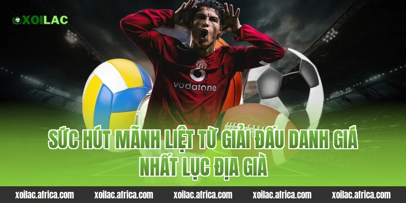 Sức Hút Mãnh Liệt Từ Giải Đấu Danh Giá Nhất Lục Địa Già