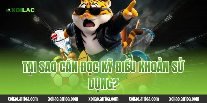 Tại sao cần đọc kỹ điều khoản sử dụng?