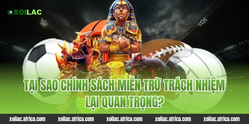 Tại sao chính sách miễn trừ trách nhiệm lại quan trọng?