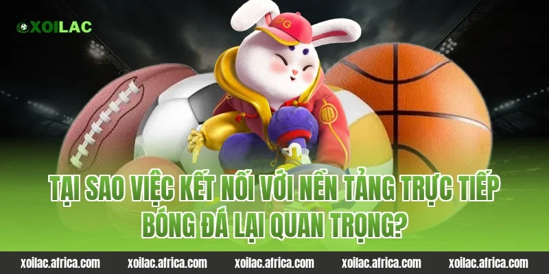Tại sao việc kết nối với nền tảng trực tiếp bóng đá lại quan trọng?