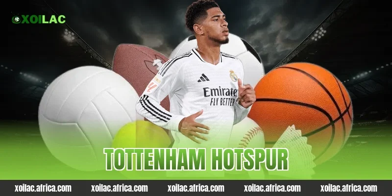 tottenham hotspur