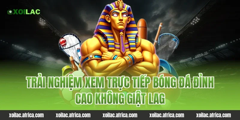 Trải nghiệm xem trực tiếp bóng đá đỉnh cao không giật lag