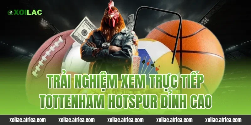 Trải Nghiệm Xem Trực Tiếp tottenham hotspur Đỉnh Cao